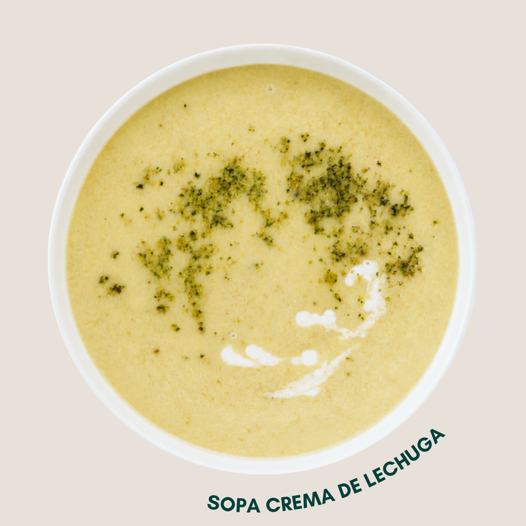 Sopa Crema de Lechuga